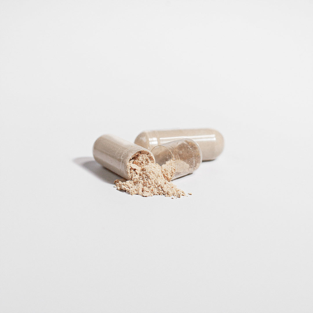 Lion's Mane Mushroom Capsules - TRUEMSHRMS