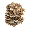 Maitake