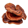 Reishi